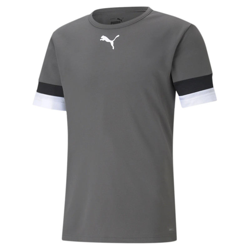 PUMA MAILLOT TEAM RISE GRIS