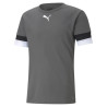 PUMA MAILLOT TEAM RISE GRIS