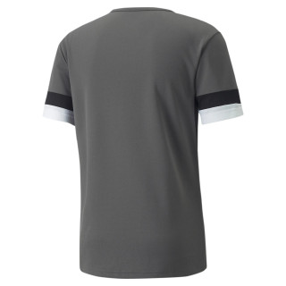 PUMA MAILLOT TEAM RISE GRIS