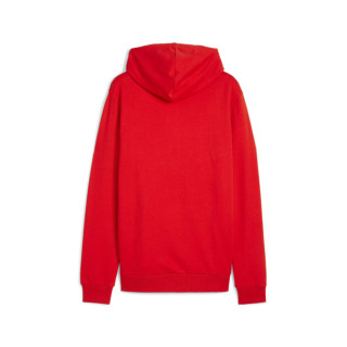 PUMA TEAMGOAL CASUALS HOODIE ROUGE