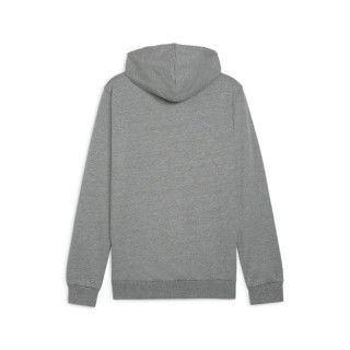 PUMA TEAMGOAL CASUALS HOODIE GRIS