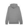 PUMA TEAMGOAL CASUALS HOODIE GRIS