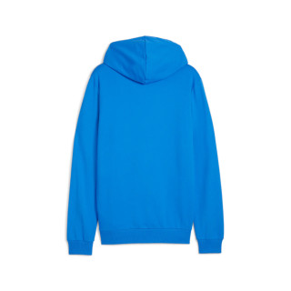 PUMA TEAMGOAL CASUALS HOODIE BLEU