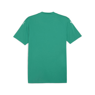 PUMA TEAMGLORY JERSEY VERT