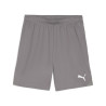 PUMA TEAMGOAL SHORT GRIS