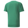 PUMA TEAMLIGA STRIPED JERSEY VERT