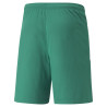 PUMA TEAMLIGA SHORT VERT