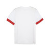 PUMA TEAMGOAL MATCHDAY JERSEY BLANC/ROUGE