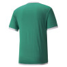 PUMA TEAMLIGA JERSEY VERT