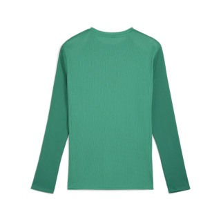 PUMA TEAMGOAL LS JERSEY VERT