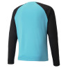 PUMA TEAMPACER GK LS JERSEY BLEU