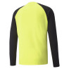 PUMA TEAMPACER GK LS JERSEY JAUNE
