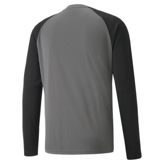 PUMA TEAMPACER GK LS JERSEY GRIS
