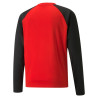 PUMA TEAMLIGA TRAINING SWEAT ROUGE