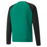 PUMA TEAMLIGA TRAINING SWEAT VERT