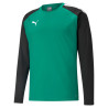 PUMA TEAMLIGA TRAINING SWEAT VERT
