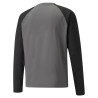 PUMA TEAMLIGA TRAINING SWEAT GRIS