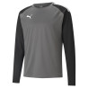 PUMA TEAMLIGA TRAINING SWEAT GRIS
