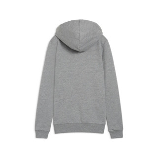 PUMA TEAMGOAL CASUALS HOODIE WMN GRIS