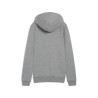 PUMA TEAMGOAL CASUALS HOODIE WMN GRIS