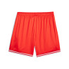 PUMA HOOPS TEAMGAME SHORT ROUGE
