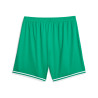 PUMA HOOPS TEAMGAME SHORT VERT